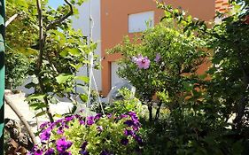 Apartments Ivanov